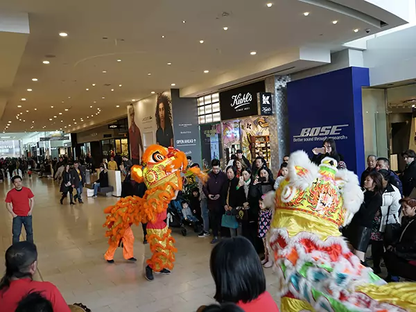 lion dance services list image